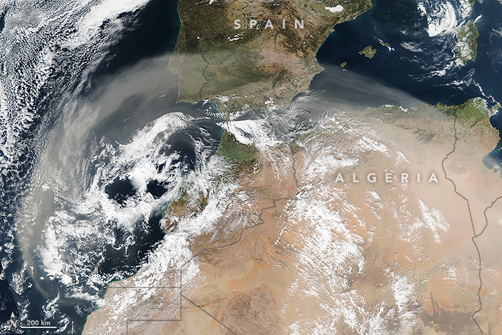 Dust Storm Over North Africa